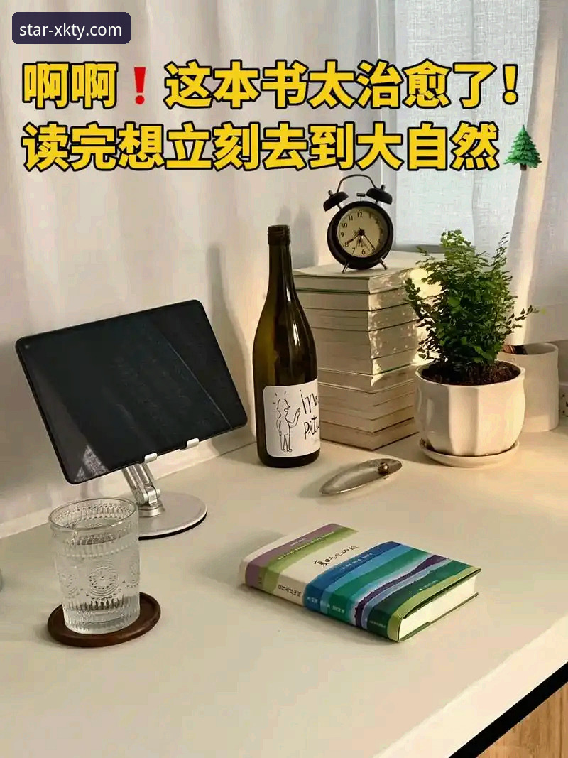 资深用户分享：星空体育官网正版使用心得与实战经验